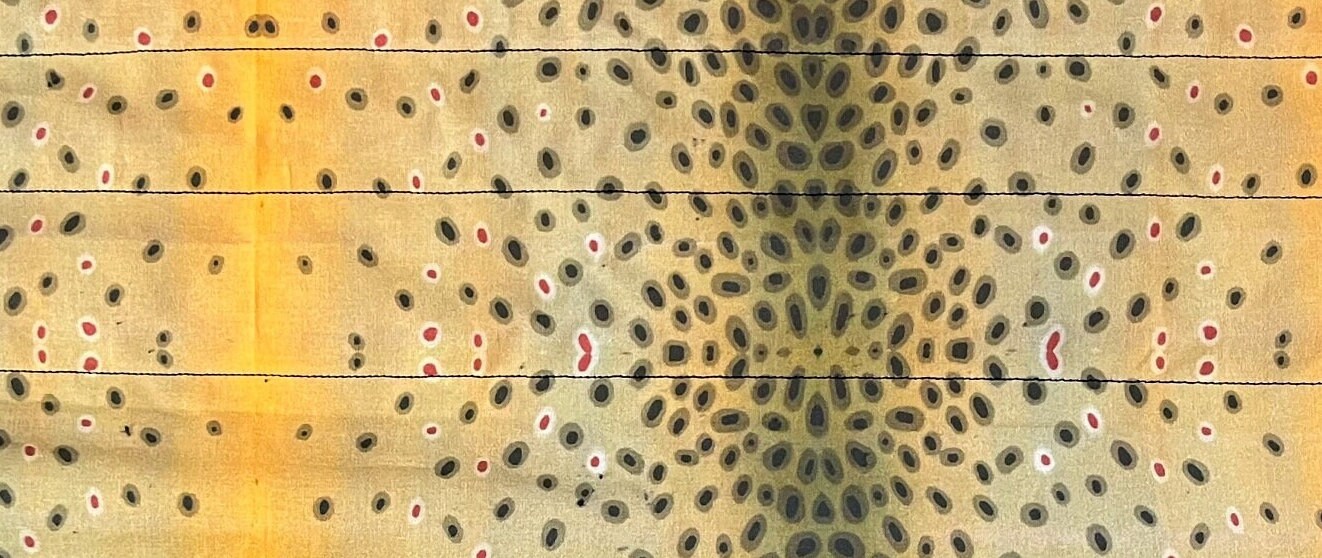 Fly Rod Sleeve-Brown Trout
